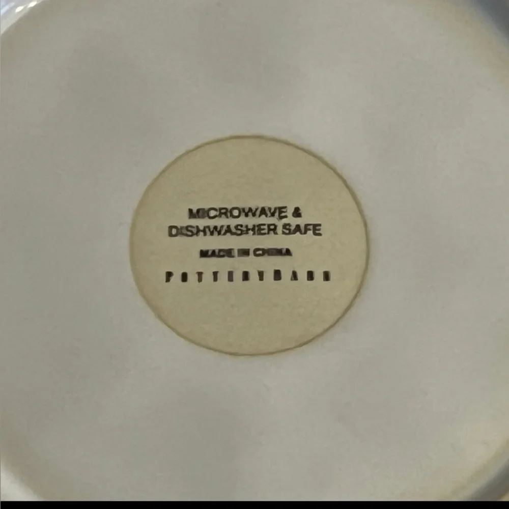 Pottery Barn Juliette Celadon Plate